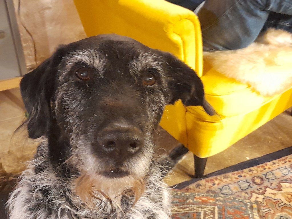 Eh, en ja, hier is&nbsp;Evert!