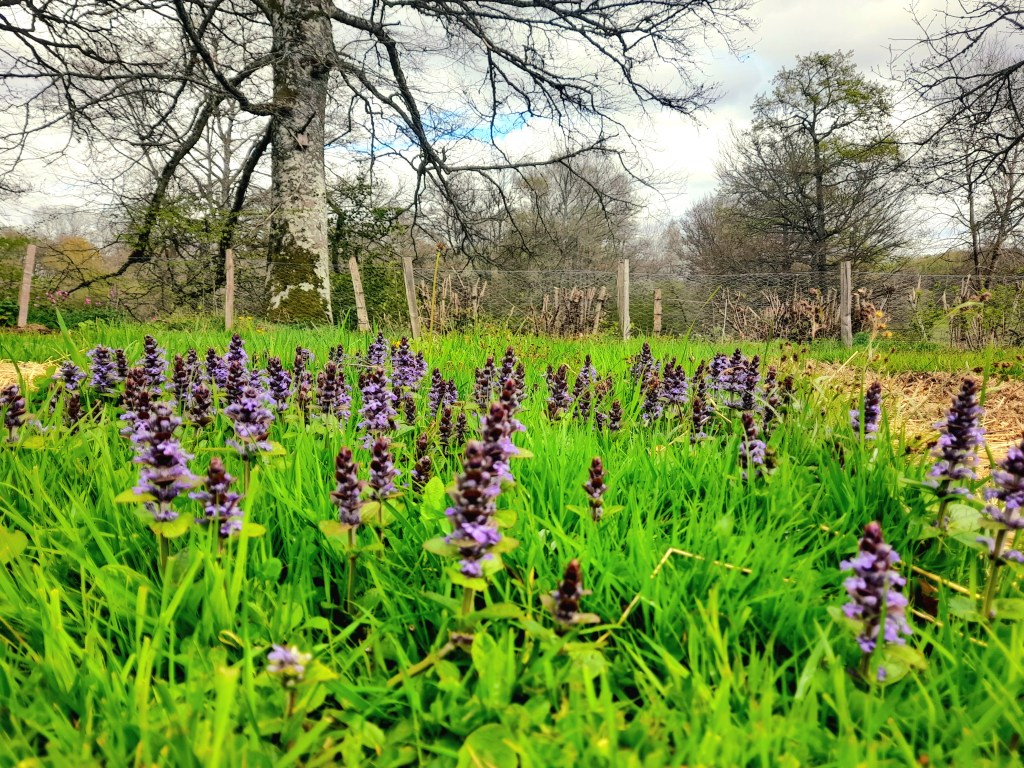Al dat groen en al die&nbsp;kleuren